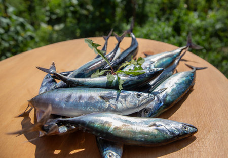 Fresh mackerels on a wooden cutting board in the garden