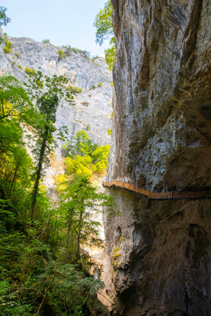 Climbing route in the gorge of the Adygea, Russiaの写真素材