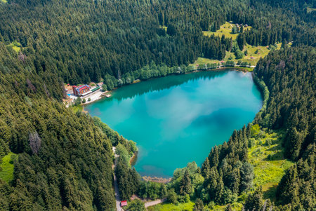 Lake Karagol in Savsat District of Artvin province is a large heart-shaped trout lake in the pine forests.の写真素材
