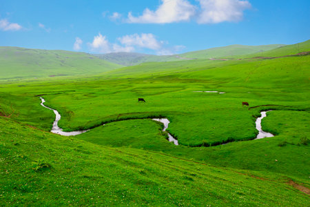 Meandering stream with mountains and clouds at The Persembe Plateau at Ordu, Turkeyの写真素材