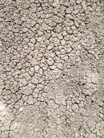 The ground has dried and cracked in the heat of the badlands of the American west. の素材