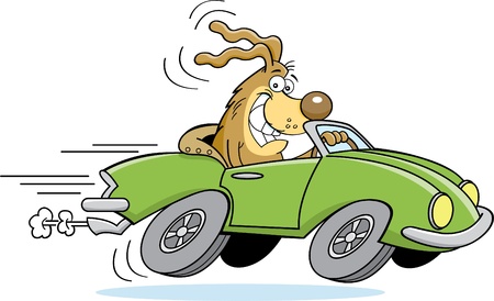 Cartoon illustration of a dog driving a car のイラスト素材