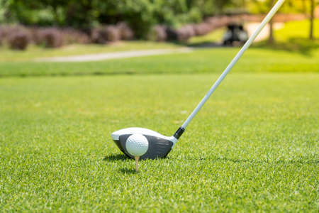 golf ball on tee at green grass prepair to tee-offの写真素材