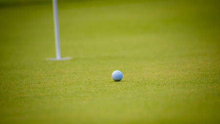 golf ball on tee at green grass prepair to tee-off