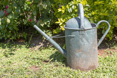 A close up view of a old rusted green metal water can in the outdoor gardenの写真素材