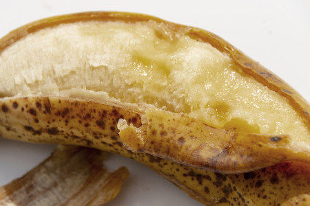 A close up view of a very ripe yellow banana that has poped and opened on the one side on a isolated white backgroundの写真素材
