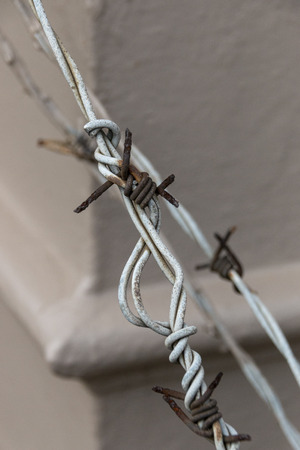 A close up view of a rusted spike on a old rusted barded wire fenceの写真素材