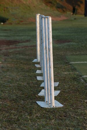 A close up view of seven white metal cricket wickets all in a row on the field ready for practiceの写真素材