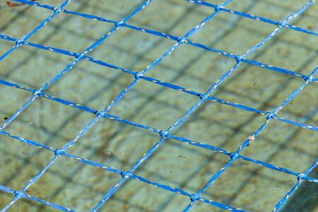 A close up of a blue fiber pool net covering a outdoor poolの写真素材