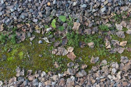 A close up view of the stone between the railway linesのeditorial素材