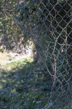 A close up view of a hole in the fence that leads out to a forestの写真素材