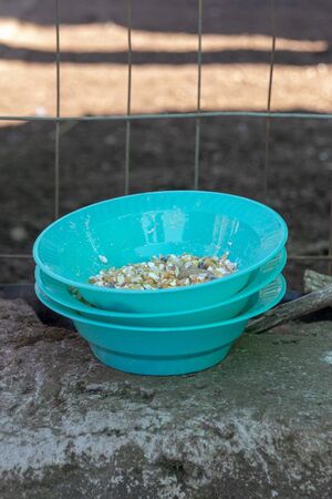 A close up view of a stack of light blue feed bowls with chicken feed insideの写真素材