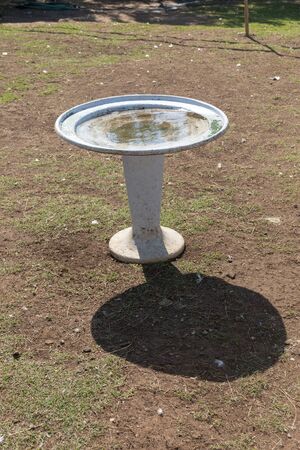 A close up view of a white bird bath outside in the summer sunの写真素材