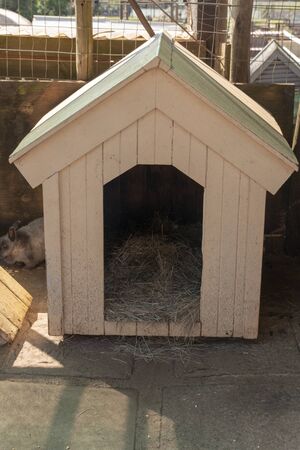 A close up view of the front of a rabbits hut with hay and food insideの写真素材