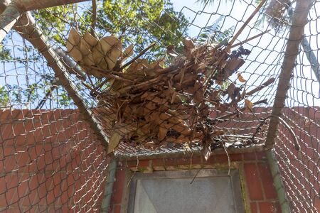 A close up view of dried leaves and debris covering the top of a mesh metal fenceの写真素材