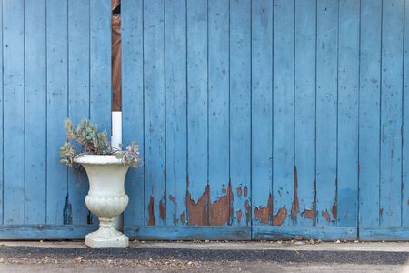 A close up view of a ornate pot plant against a old blue garage with the paint peeling の写真素材