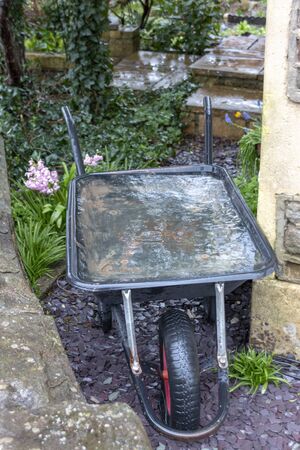 a close up view of a plastic wheel barrow fulled with rain water in a garden の写真素材