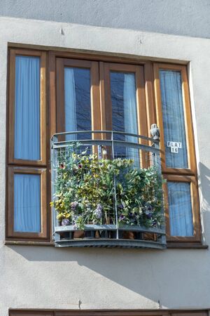 Bristol-March-2020-England-a close up view of a balcony with flowers and plants covering the small fence around it. A small clay owl and doors opening on the front  の写真素材