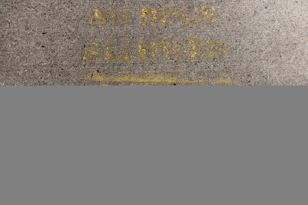 a close up view of a no dogs allowed sign spray painted onto the tar pavment の写真素材