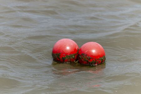 a close up view of two small red floating boys in the dirty water の写真素材
