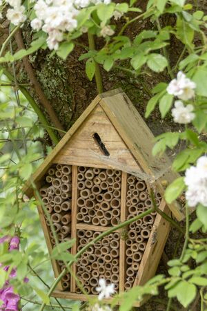 a close up view of a bug house that has been man made to encourage bugs and insects to nest inの写真素材