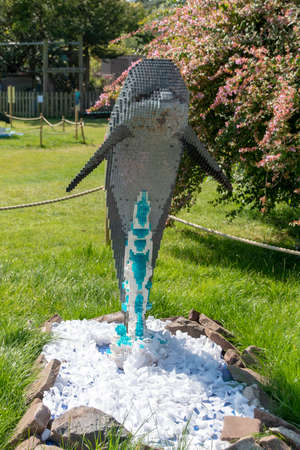 Bristol-August-2020-England- A dolphan made out of lego on display at the Bristol Zooの写真素材