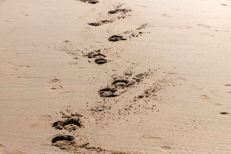 a close up view of two horses hoof prints that have been left in the sandの写真素材