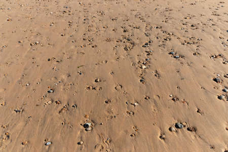 a close up view of stone that have been washed up on the beach from ther deepest part of the ocean
