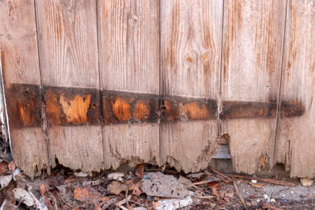 a close up view of a rotting door where the metal hinge has fallen off over timeの写真素材