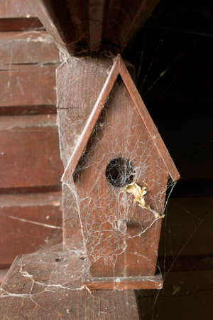 A close up view of a wooden bird boxの写真素材