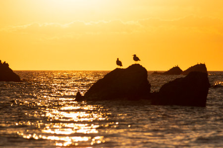 A view of the waterfront ocean in ilfracombeの写真素材