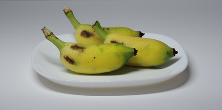 3 cultivated banana on a white plate.の写真素材