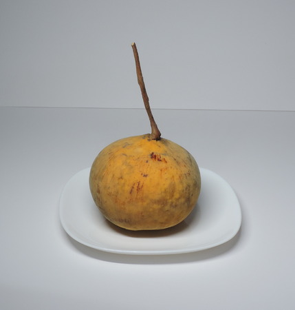 A big santol on a white plate.の写真素材