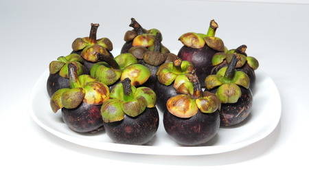 Twelve mangosteen fruit on a white plate.の写真素材