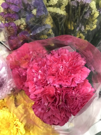 A bouquet of Dianthus caryophyllus or Carnation or Clove pink flower.の写真素材