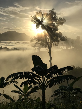 Sunlight and sea of mist on the viewpoint.の写真素材