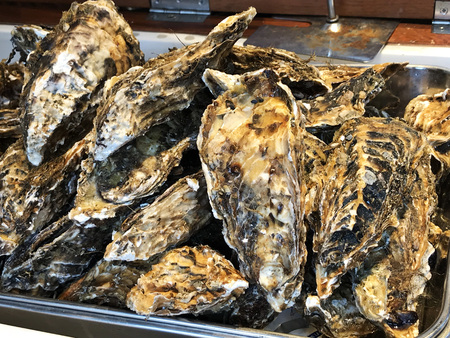A tray of big oysters.