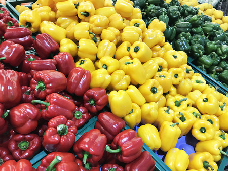 Variety of colored bell pepper or sweet pepper or capsicum.の写真素材