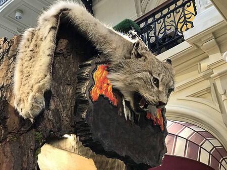 Taxidermied Lynx or Wild cat exhibited in Moscow, Russia.の写真素材