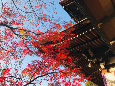Kyoto, Japan - December 1, 2019: Wooden roof details of Eikando Zenrinji Temple. The temple has a...