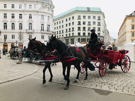 Vienna, Austria - November 11, 2018: A tour in a horse-drawn carriage is a very atmospheric way to explore the beauty of Vienna. You can find horse-drawn carriage stands in different areas of the cityのeditorial素材