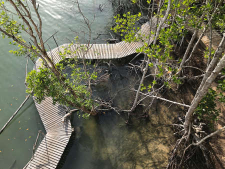 Trat, Thailand - December 19, 2020:  Look at the wooden bridge walkway along the sea of 'Mature...