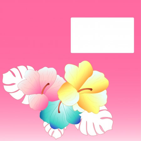 beautiful tropical flowers postcard, tropical hibiscus background, のイラスト素材