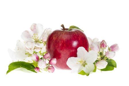 Ripe Red Apple with Blossom and Leaves on White Backgroundの写真素材