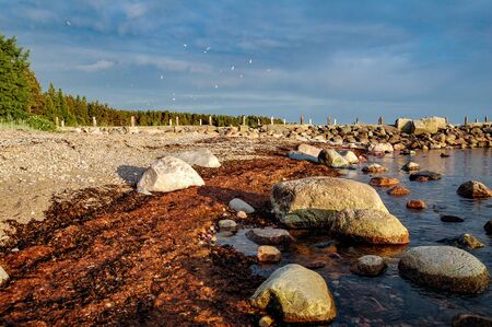beach and rocks in the Baltic Sea and Sunsetの写真素材