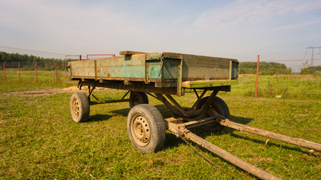 Horse on a farm in Russia countrysideの写真素材