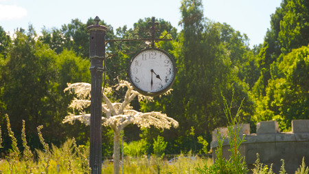 Countryside park and nature in Moscow Russiaの写真素材