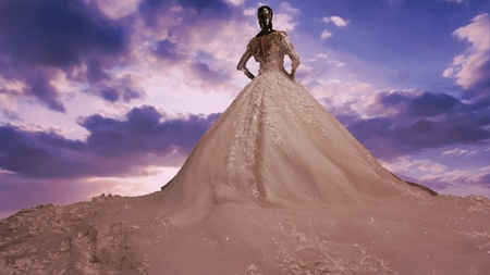 Wedding Dress for Designs and templatesの写真素材