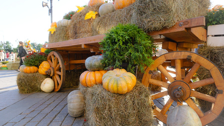 Pumpkin for halloweenの写真素材