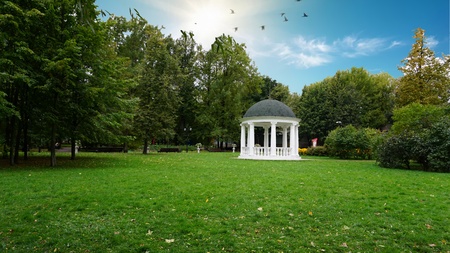 Green nature parkの写真素材